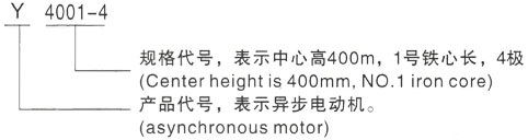 西安泰富西玛Y系列(H355-1000)高压YJTFKK5603-4三相异步电机型号说明