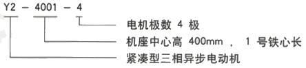 YR系列(H355-1000)高压YJTFKK5603-4三相异步电机西安西玛电机型号说明